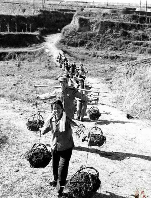 60年代农村生活的图片 60年代农村农用工具图片